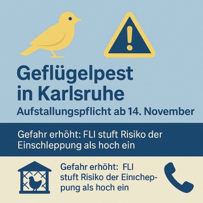 Geflügelpest in Karlsruhe